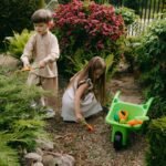 enhance your digital skills